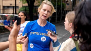 democratic-socialist-actress-cynthia-nixon-handed-powerful-role-in-helping-choose-new-york-top-judges