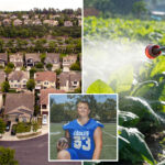 ritzy-socal-city-rocked-by-rare-cancer-outbreak-suspends-use-of-chemical-landscaping-products