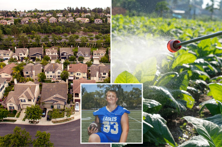ritzy-socal-city-rocked-by-rare-cancer-outbreak-suspends-use-of-chemical-landscaping-products