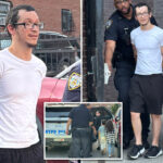 bronx-miracle-tot-falls-5-floors-—-but-is-carried-away-alert-and-conscious