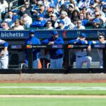 mets-among-teams-who-used-ai-loophole-with-dugout-ipads-before-mlb-crackdown