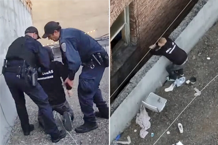 reno-man-charged-in-gruesome-kitten-killing-after-san-francisco-rooftop-arrest