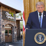 olive-garden-becomes-unlikely-face-of-voter-id-fight-after-restaurant’s-policy-goes-viral