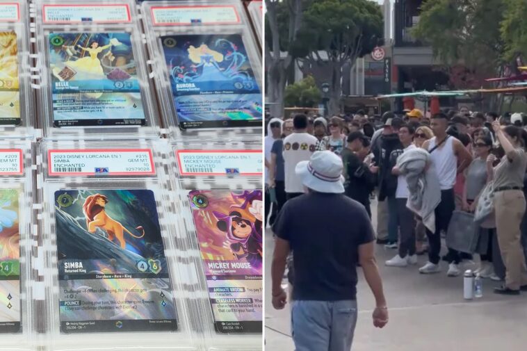 disneyland-sees-wild-crowds-for-trading-cards:-‘craziest-line-i’ve-ever-seen’