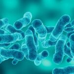 first-death-reported-in-upper-east-side-legionnaires’-disease-outbreak-as-cases-rise-to-67