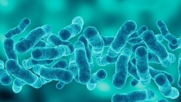 first-death-reported-in-upper-east-side-legionnaires’-disease-outbreak-as-cases-rise-to-67