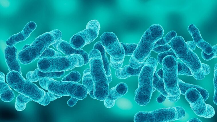 first-death-reported-in-upper-east-side-legionnaires’-disease-outbreak-as-cases-rise-to-67