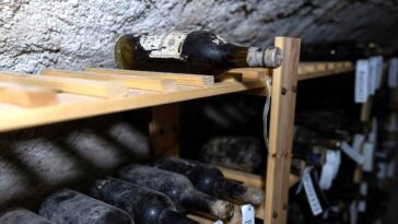 secret-cache-of-130-year-old-wine-uncovered-beneath-medieval-castle-chapel-floor
