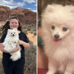‘heartbroken’-owner-demands-$3m-after-nyc-veterinarian-allegedly-ignored-pregnant-dog-who-died-in-labor