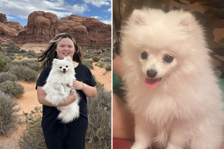 ‘heartbroken’-owner-demands-$3m-after-nyc-veterinarian-allegedly-ignored-pregnant-dog-who-died-in-labor