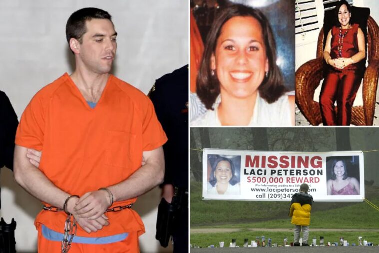 scott-peterson-deserves-another-trial-after-‘new-evidence’-in-murder-investigation,-retired-detective-says