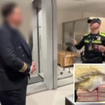 drug-smuggler-went-viral-after-dressing-as-pilot-to-move-cocaine-across-atlantic