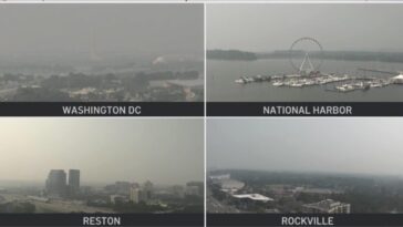 trump-says-he’s-holding-canada-responsible-for-wildfires-and-dangerous-air-quality-levels-for-millions-in-us-cities-–-says-cost-of-air-pollution-will-be-added-to-tariffs