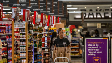 nyc-dsa-co-chair:-any-private-stores-bankrupted-by-government-grocery-stores-maybe-shouldn’t-have-existed
