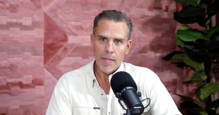 disgraced-hunter-biden-believes-the-biggest-problem-in-america-is-not-the-‘oligarchy,’-but-the-‘gay-mafia-largely-republican’-running-washington,-dc.