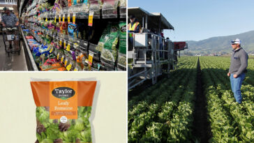 taylor-farms-releases-full-recall-list-after-‘explosive-diarrhea’-cyclosporiasis outbreak