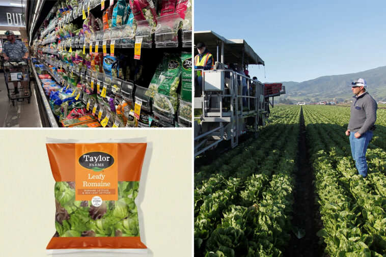 taylor-farms-releases-full-recall-list-after-‘explosive-diarrhea’-cyclosporiasis outbreak