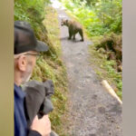 hikers-in-alaska-have-face-to-face-encounter-with-grizzly-bear-in-terrifying-moment-caught-on-viral-video