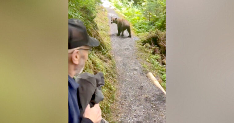 hikers-in-alaska-have-face-to-face-encounter-with-grizzly-bear-in-terrifying-moment-caught-on-viral-video