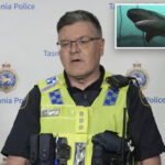 diver-survives-after-being-bitten-by-nearly-7-foot-shark-in-australia:-‘pretty-good-bite’