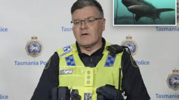 diver-survives-after-being-bitten-by-nearly-7-foot-shark-in-australia:-‘pretty-good-bite’
