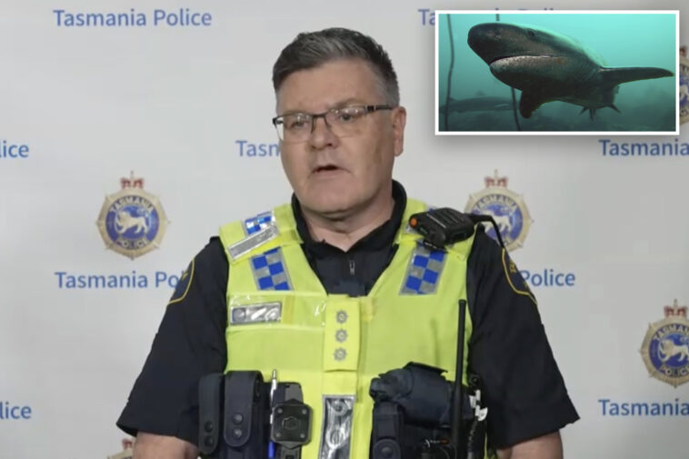 diver-survives-after-being-bitten-by-nearly-7-foot-shark-in-australia:-‘pretty-good-bite’