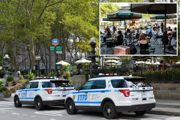 nyc-homeless-man-hurls-cell-phone-at-baby-in-stroller-during-bryant-park-horror-attack:-cops
