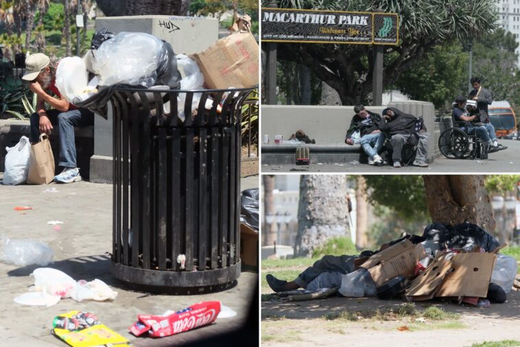 13m-of-pounds-of-trash-and-hazardous-waste-removed-from-macarthur-park