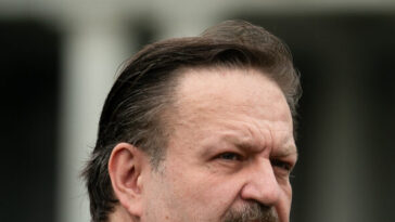 sebastian-gorka,-john-solomon-excoriate-bari-weiss-for-cbs-handling-of-china-voter-file-story