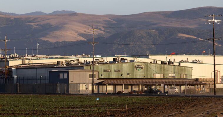 authorities-identify-source-of-nationwide-cyclospora-outbreak:-salad-distributer-used-by-taco-bell