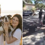 disgusting-moment-‘disneyland-for-dogs’-hands-california-couple-their-beloved-puppy-back-in-a-plastic-tub