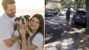 disgusting-moment-‘disneyland-for-dogs’-hands-california-couple-their-beloved-puppy-back-in-a-plastic-tub