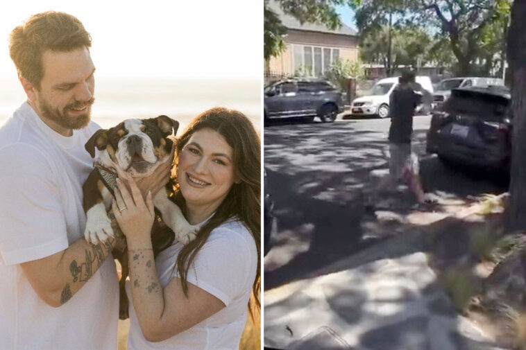 disgusting-moment-‘disneyland-for-dogs’-hands-california-couple-their-beloved-puppy-back-in-a-plastic-tub