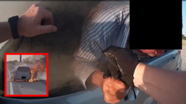 watch:-body-camera-footage-shows-heroic-texas-police-officer-pulling-man-from-burning-car-–-officer-awarded-for-meritorious-conduct