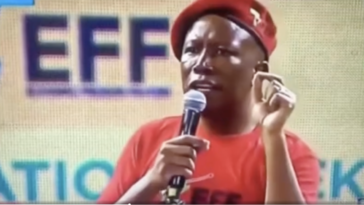 jarring-video:-south-african-reveals-what’s-actually-believed-about-whites,-and-it-is-horrific
