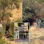 lake-hollywood-park-rocked-by-wave-of-truly-disgusting-acts-—-before-food-is-served