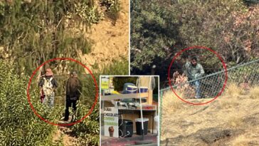 lake-hollywood-park-rocked-by-wave-of-truly-disgusting-acts-—-before-food-is-served