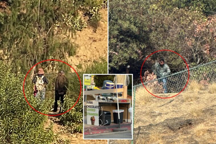 lake-hollywood-park-rocked-by-wave-of-truly-disgusting-acts-—-before-food-is-served