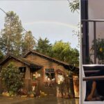 bulldog’s-drowning-sparks-police-probe-at-dog-resort-marketed-as-the-‘disneyland-for-dogs’