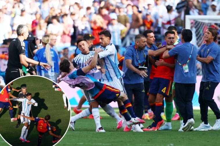 punches-thrown-as-wild-brawl-breaks-out-after-final-world-cup-whistle