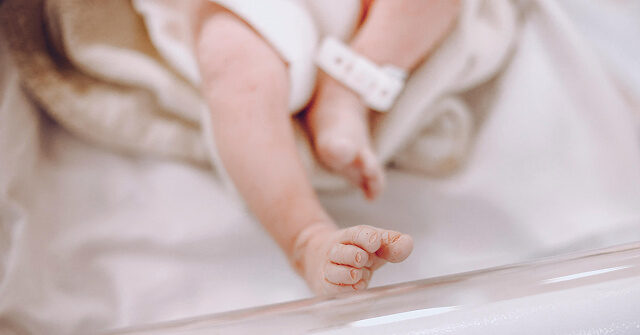 newborn-surrendered-to-fire-station-safe-haven-baby-box-in-texas