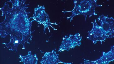 ‘unusual-cluster’-of-rare-child-cancer-cases-triggers-calls-for-investigation