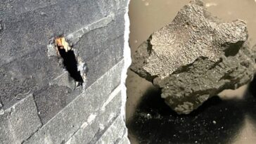 meteorite-that-crashed-into-nj-home-holds-building-blocks-of-life,-scientists-say