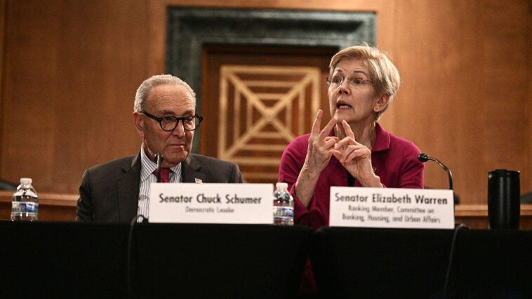 warren-defies-schumer-as-dem-civil-war-explodes-over-must-win-senate-race