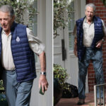 nancy-pelosi’s-husband-paul-breaks-cover-for-the-first-time-since-being-charged-over-latest-hit-and-run-crash