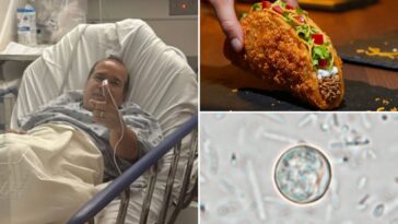‘explosive-diarrhea’-patient-ate-new-taco-bell-item-before-he-got-sick-—-as-fda-renews-search-for-cause
