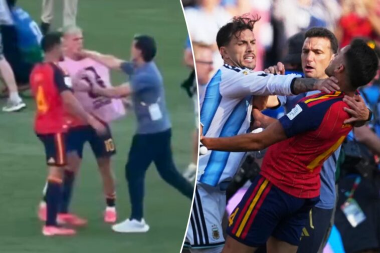 argentina-coach-appears-to-punch-spain-player-after-embarassing-loss