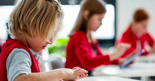 ‘unacceptable-risk’:-education-advocates-call-for-schools-to-drop-google-over-ai-safety-concerns