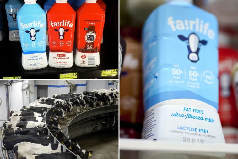 coca-cola’s-milk-brand-halts-us-production-after-‘unauthorized-access’-breach