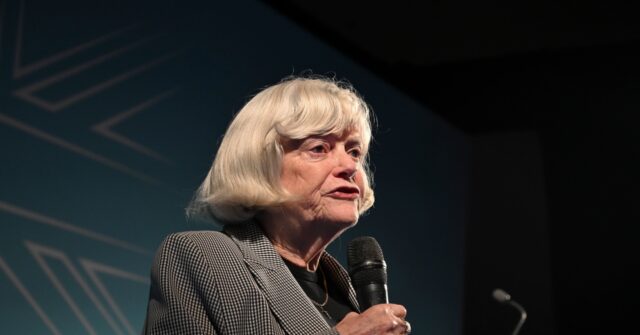 joshua-kerry-charged-with-murder-of-brexiteer-ann-widdecombe